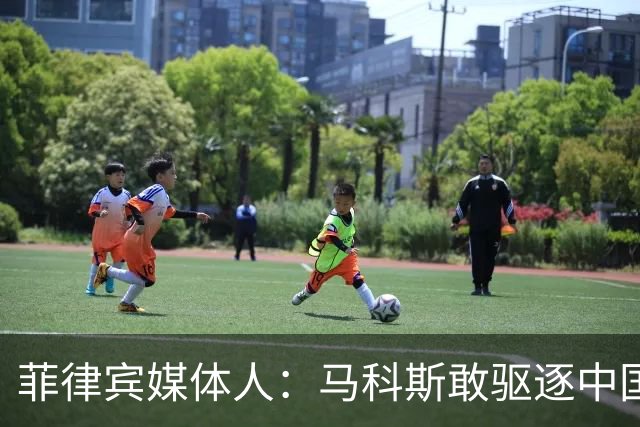 菲律宾媒体人：马科斯敢驱逐中国大使，就等着像他父亲被赶下台吧